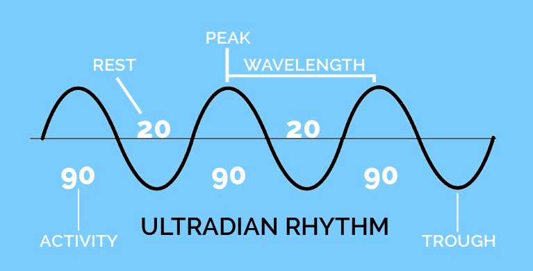 Ultradian Rhythm Technique To Maintain A Healthy Energy Level And Well-Being