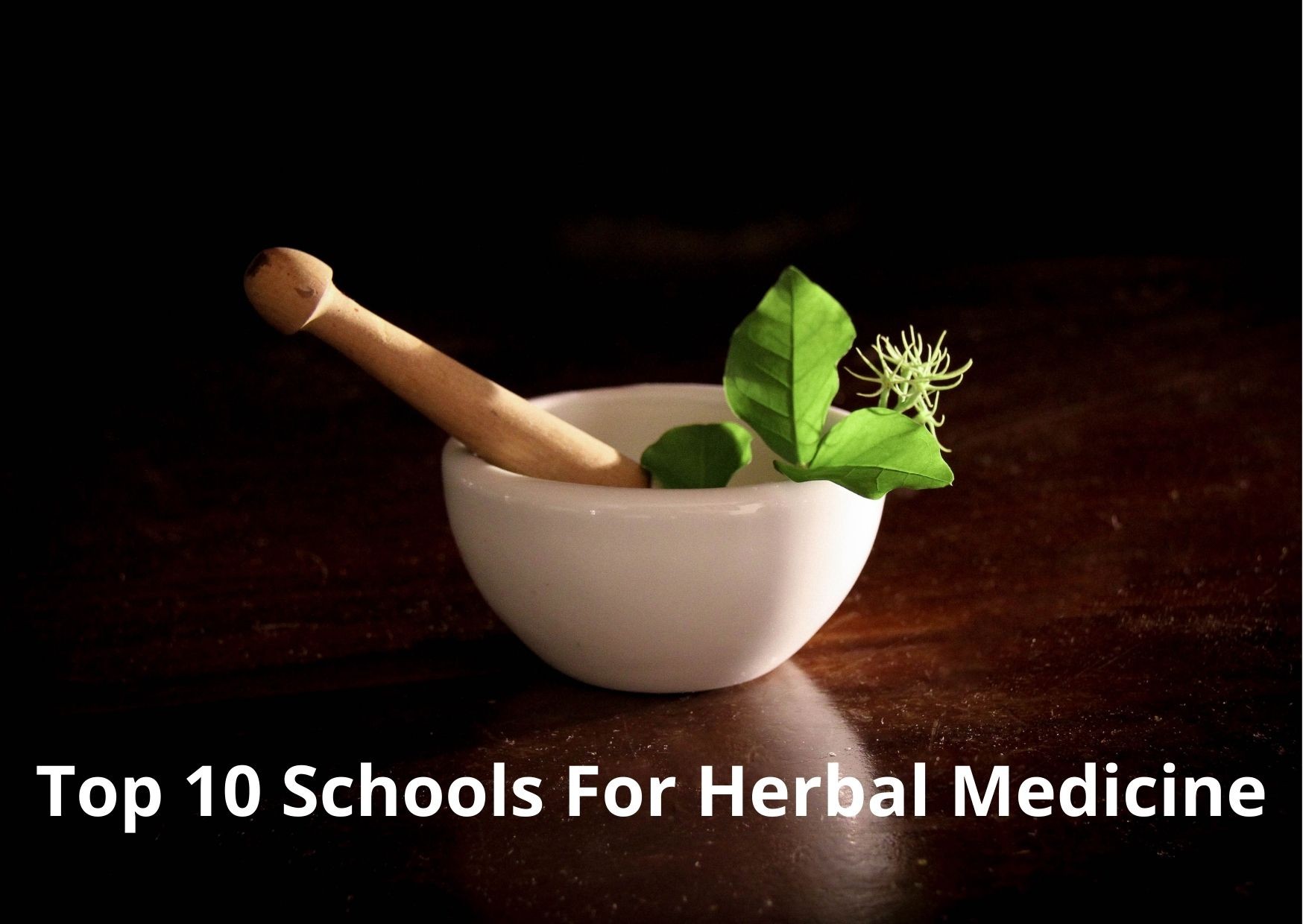 Top 10 Schools For Herbal Medicine