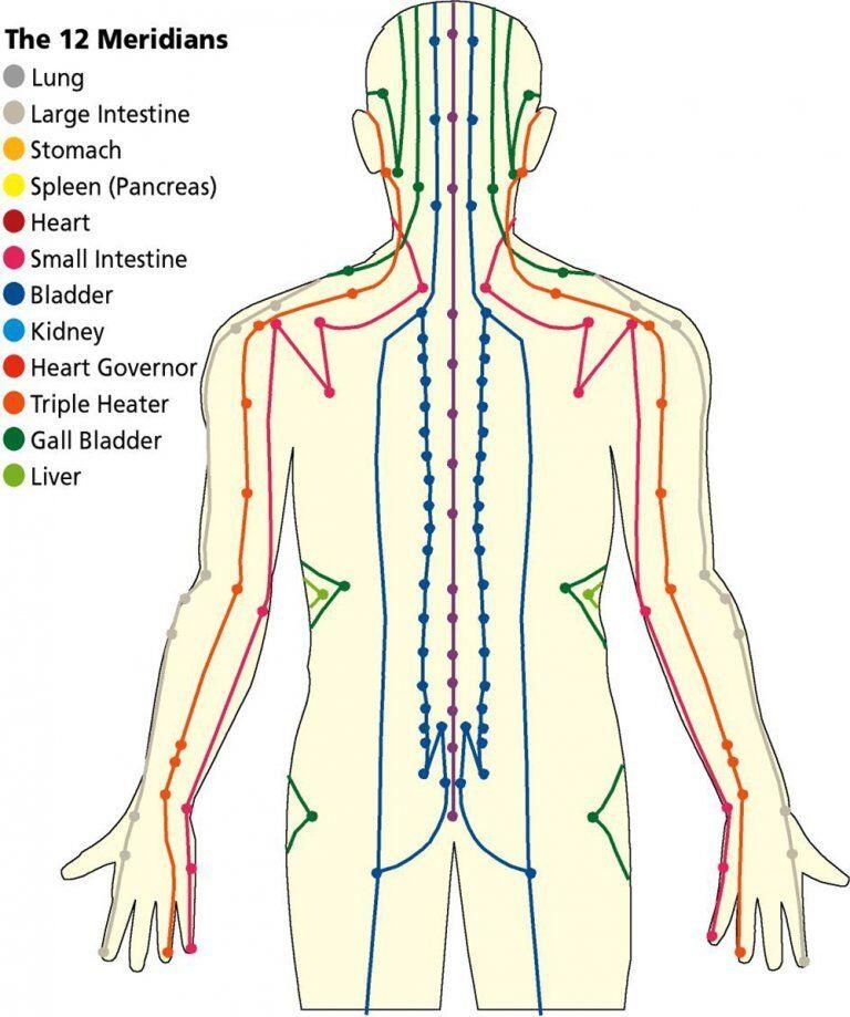 The 12 Meridians