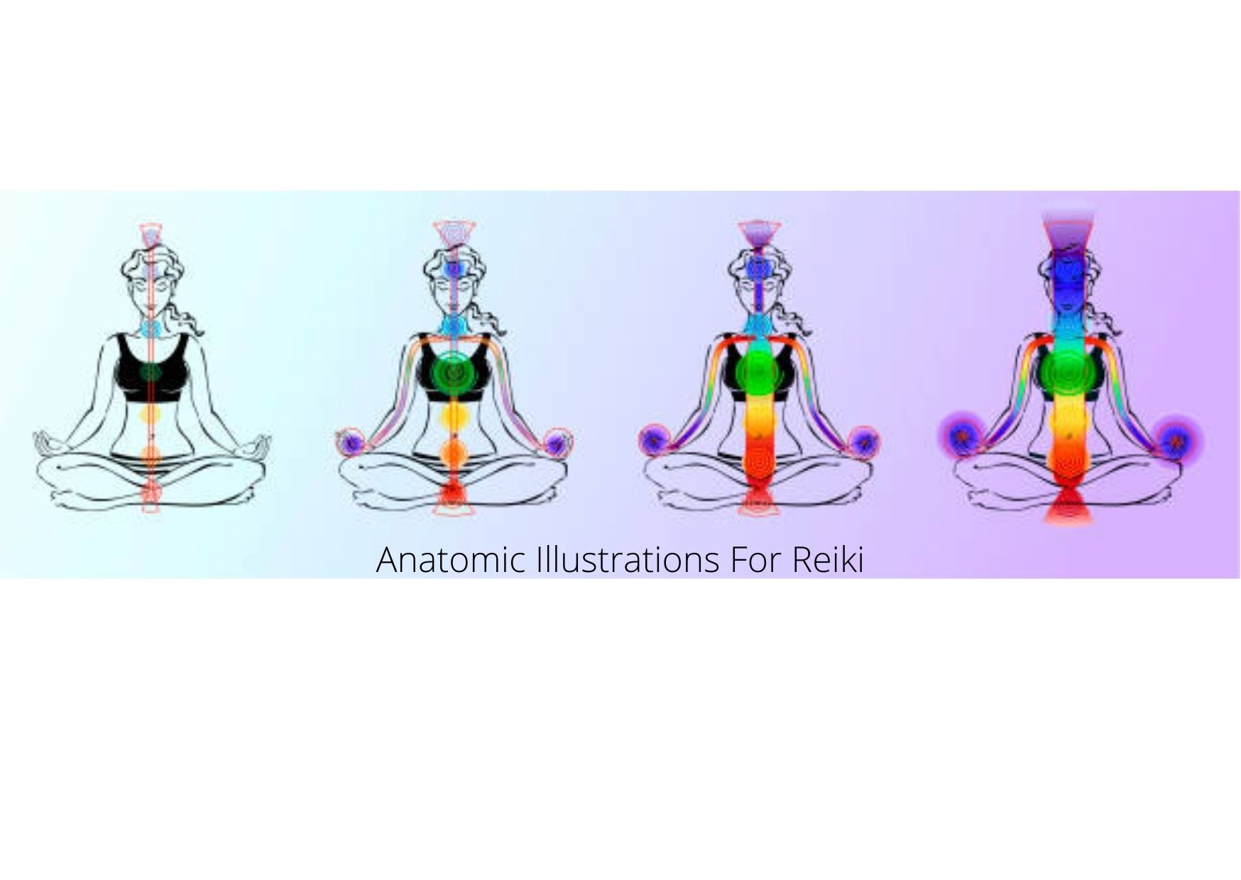 Anatomic Illustrations For Reiki