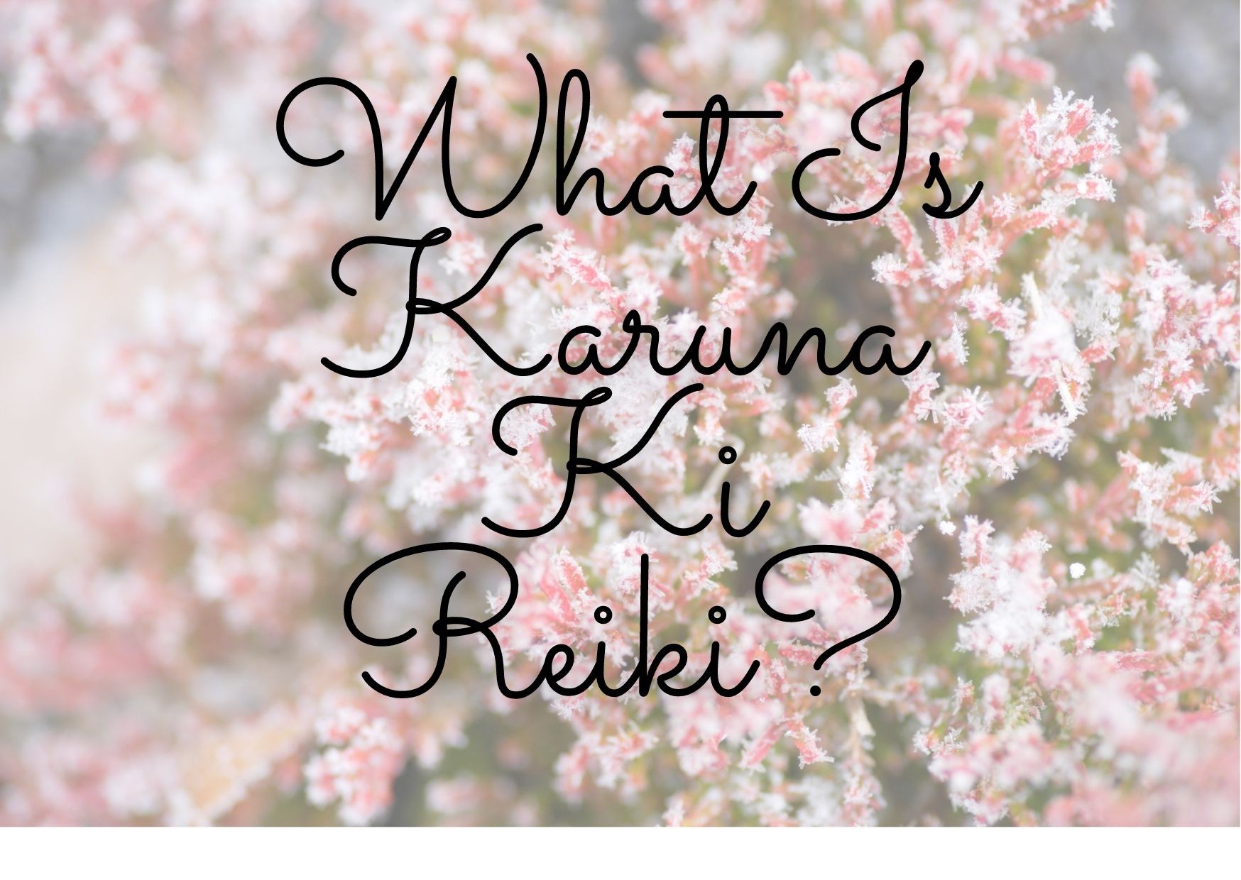 What Is Karuna Ki Reiki?